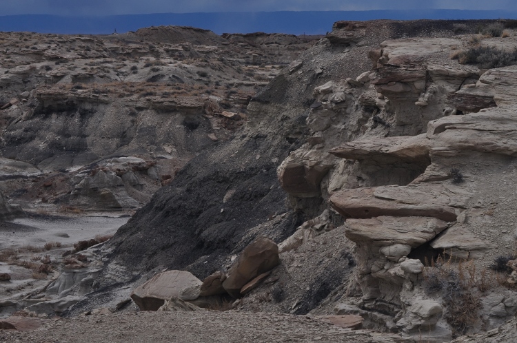 bisti wilderness